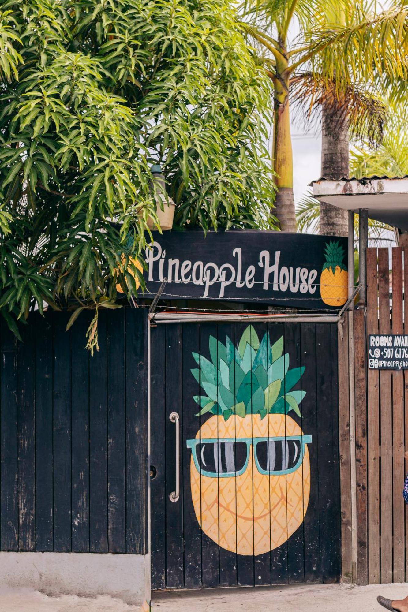Pineapple House Hotel Bocas del Toro Exterior photo